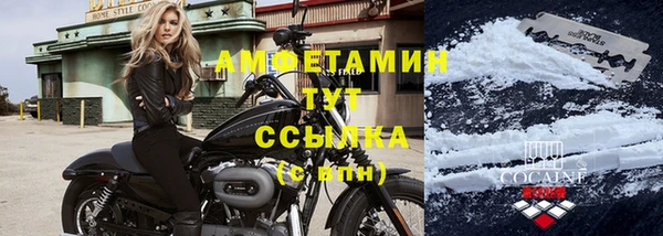 СК Алзамай