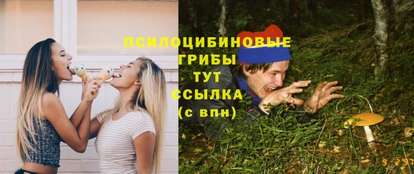 СК Алзамай