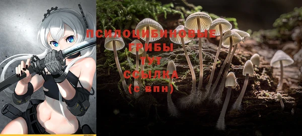 СК Алзамай